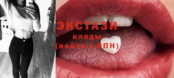 гидра Краснослободск