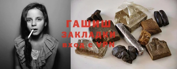 гидра Краснослободск