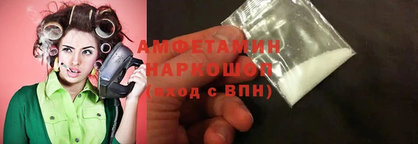 гидра Краснослободск