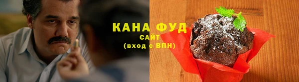 гидра Краснослободск