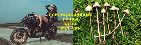 гидра Краснослободск