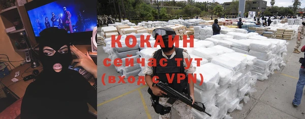гидра Краснослободск