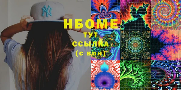 гидра Краснослободск